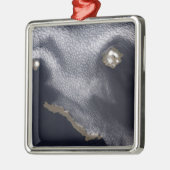 セミソポチノイ島の衛星画像 メタルオーナメント (左)