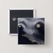 セミソポチノイ島の衛星画像 缶バッジ (正面&裏面)