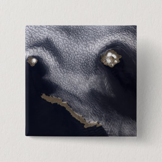 セミソポチノイ島の衛星画像 缶バッジ (正面)