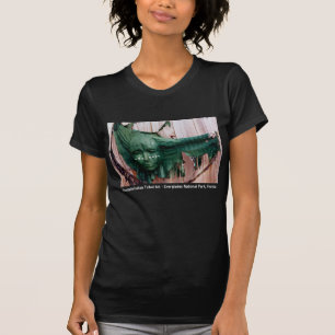 セミノル族のインドの種族の芸術のフロリダレディースTシャツ Tシャツ