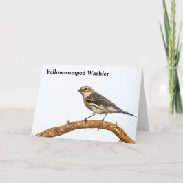 セミヒメドリ サンキューカード