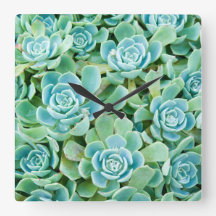 セミペルヴィヴム