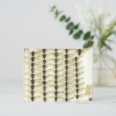 セミ付きポストカード ポストカード (スタンド正面)