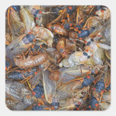 セミ侵入II スクエアシール (正面)