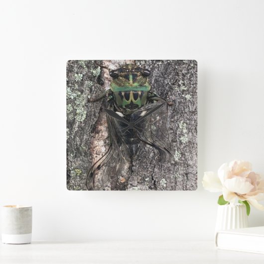 セミ時計 スクエア壁時計 (ホーム)