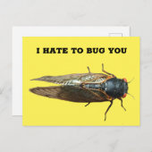 セミ虫の写真メッセーカスタムジ ポストカード (正面/裏面)