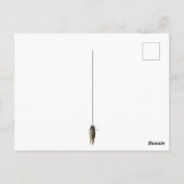 セミ虫の写真メッセーカスタムジ ポストカード (裏面)