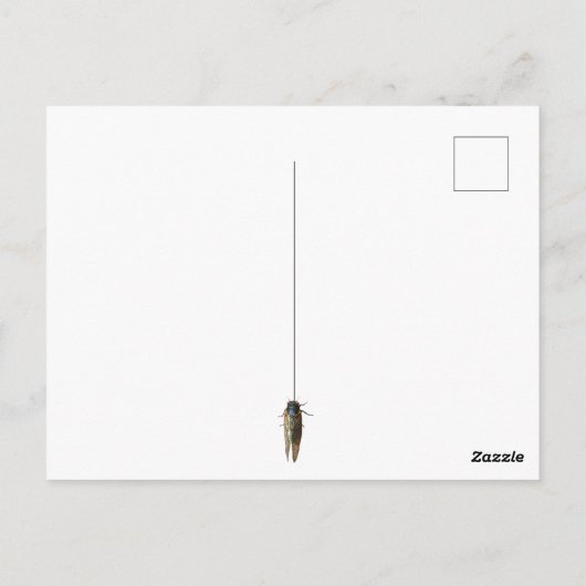セミ虫の写真メッセーカスタムジ ポストカード (裏面)