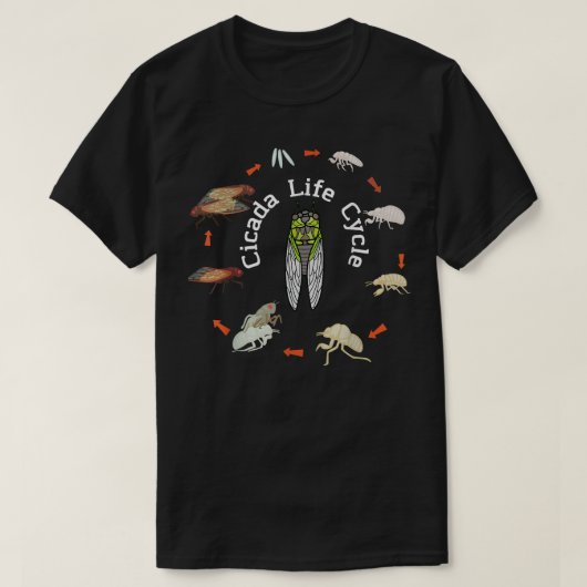 セミ虫セミのライフサイクルX USAマジチャダ Tシャツ (デザイン正面)