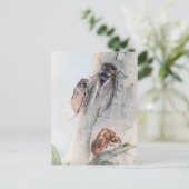 セミ2 ポストカード (スタンド正面)