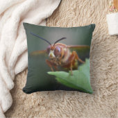 セミ・キラーの接写 クッション (ブランケット)