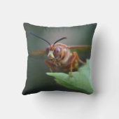 セミ・キラーの接写 クッション (裏面)