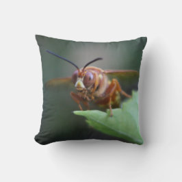 セミ・キラーの接写 クッション