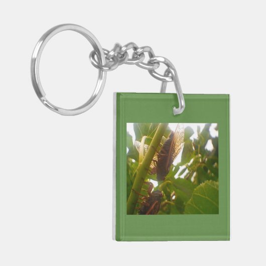 セミ キーホルダー (正面左)