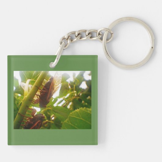 セミ キーホルダー (裏面)