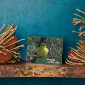 セミ フォトプラーク (側面)