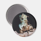 セミ マグネット (正面/裏面)