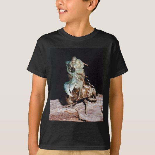 セミ Tシャツ (正面)