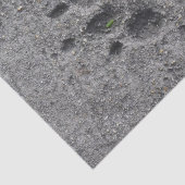 セメントのペット足-常にそこに 薄葉紙 (詳細)