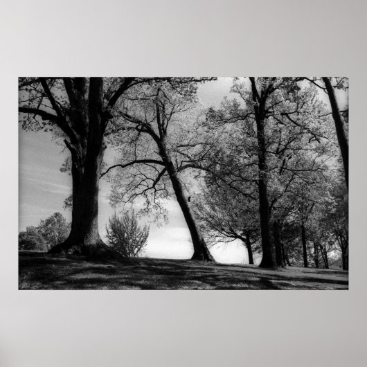 セメント景観 ポスター (正面)