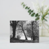 セメント景観 ポストカード (スタンド正面)