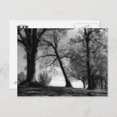 セメント景観 ポストカード (正面/裏面)