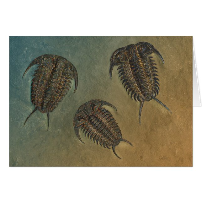 セラウルスとレビチェラウルス (正面横)