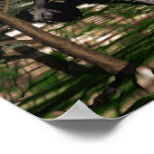 セラトサウルス恐竜 – 3D 描写 ポスター (角)