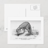 セラトサウルス絵葉書 ポストカード (正面/裏面)