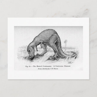 セラトサウルス絵葉書 ポストカード