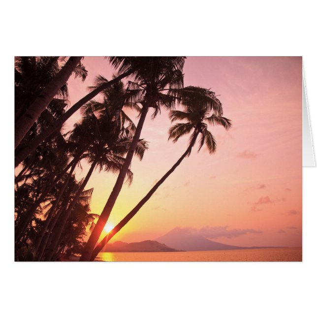 セラト·ボレン·イリアピ島レウリンビレッジ (正面横)