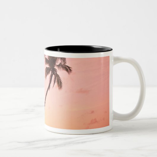 セラト·ボレン·イリアピ島レウリンビレッジ ツートーンマグカップ (右)