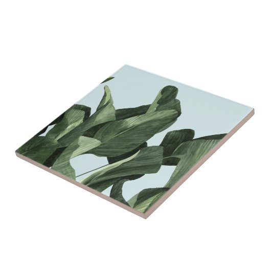 セラドンパーム タイル (側面)