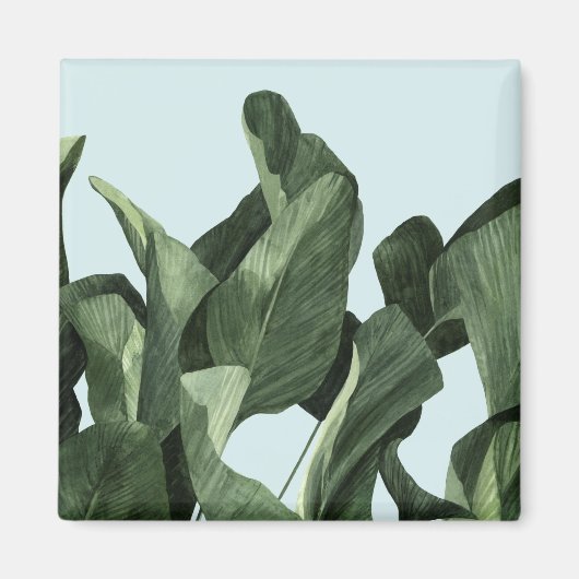 セラドンパーム マグネット (正面)