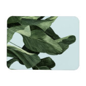 セラドンパーム マグネット (横)