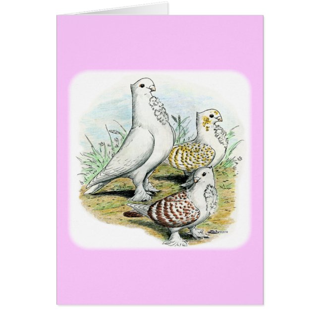 セラピムピジョン (正面)