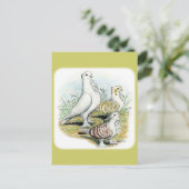 セラピムピジョン ポストカード (スタンド正面)