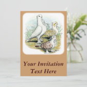 セラピムピジョン 招待状 (スタンド正面)