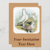 セラピムピジョン 招待状 (正面/裏面)