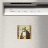 セラピム マグネット (インサイチュ (食洗機))