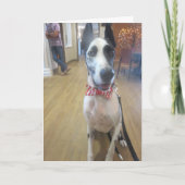 セラピーが後をつけるDozerによる挨拶状 カード (正面)