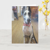 セラピーが後をつけるDozerによる挨拶状 カード (黄色い花)