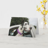 セラピーが後をつけるDozerによる挨拶状 カード (黄色い花)