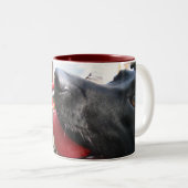 セラピー犬のラブラドールの写真 ツートーンマグカップ (正面右)