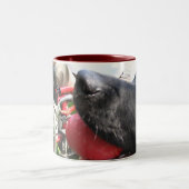 セラピー犬のラブラドールの写真 ツートーンマグカップ (中央)