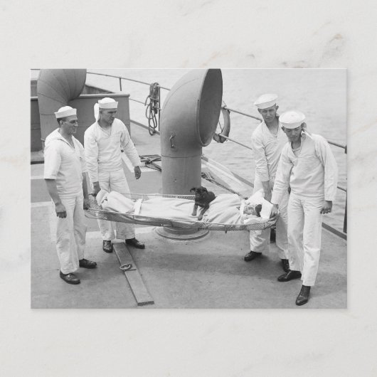 セラピー犬、1900年代初期 ポストカード (正面)