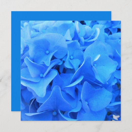 セラフィン (正面/裏面)