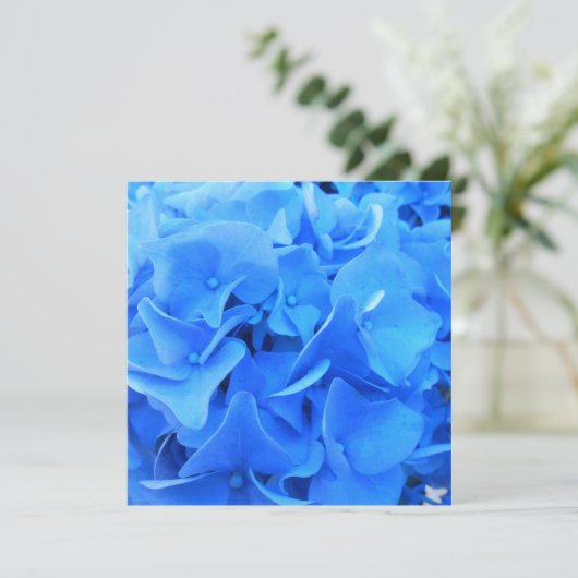 セラフィン (スタンド正面)