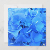 セラフィン (正面)