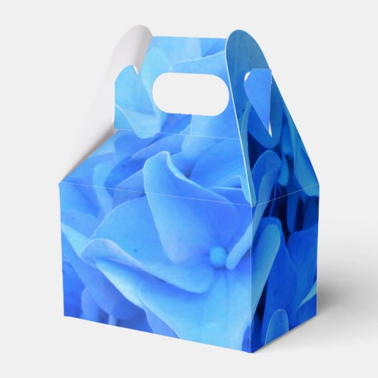 セラフィン フェイバーボックス (裏面サイド)